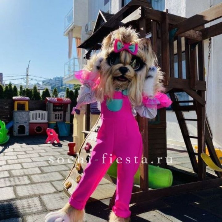 Аниматор Гламурная Собака в Владимире
