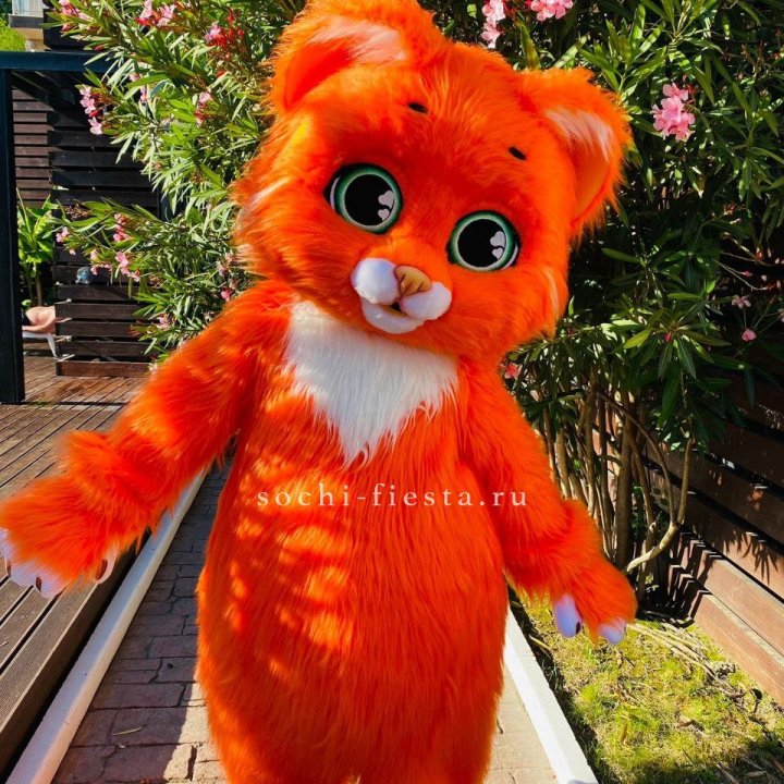 Аниматор Котик в Владимире