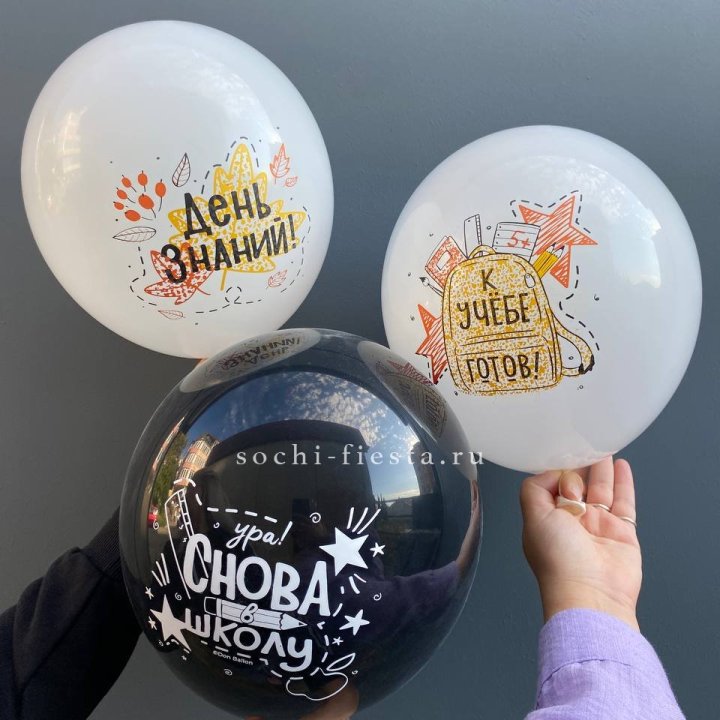 Воздушный шар к 1 сентября в Владимире