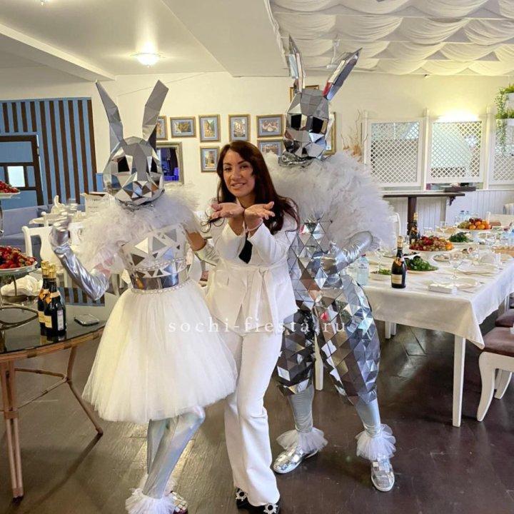 Аниматор Зеркальный заяц в Владимире