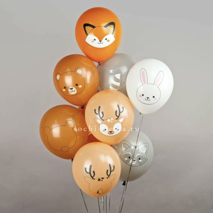 Воздушный шар "Животные" в Владимире
