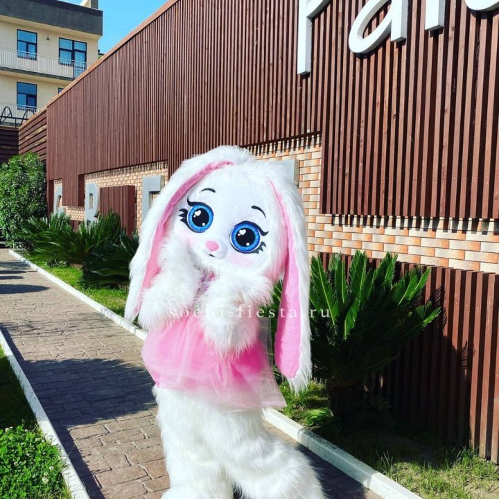 Аниматор Зайка в Владимире