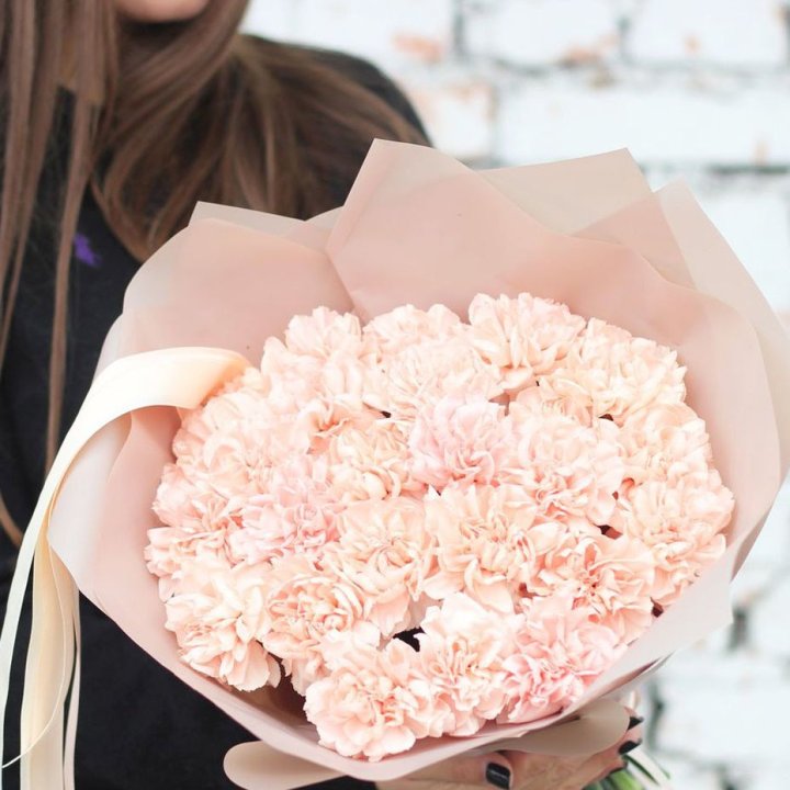 Диантусы №2 в Владимире