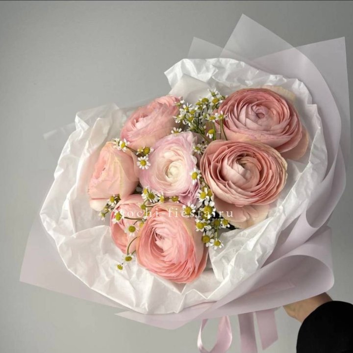 Ранункулюсы с ромашками в Владимире