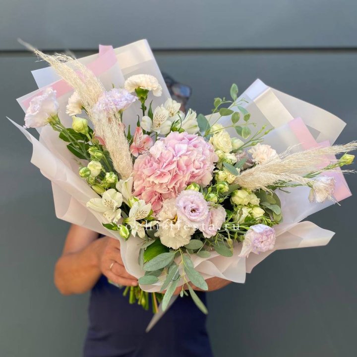 Гортензия "Пинк флоид" в Владимире