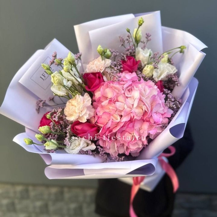 Гортензия "Перпил" в Владимире