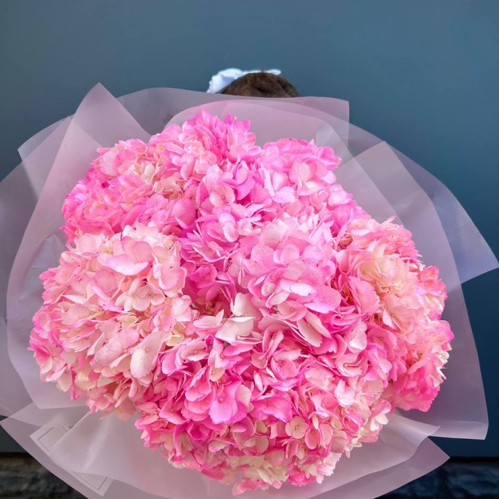 9 ярко розовых гортензий в Владимире