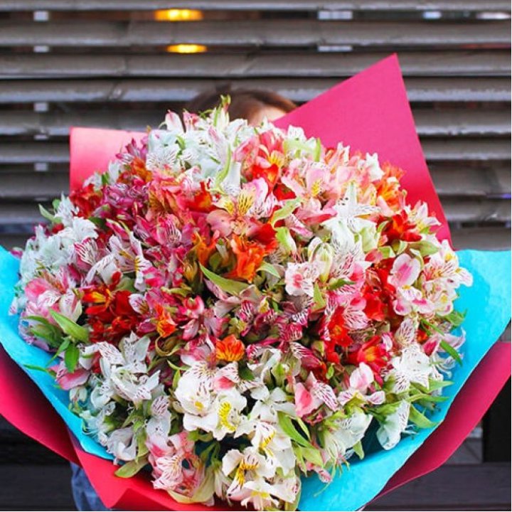 101 альстромерия в Владимире