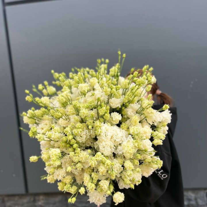 51 белая эустома в Владимире