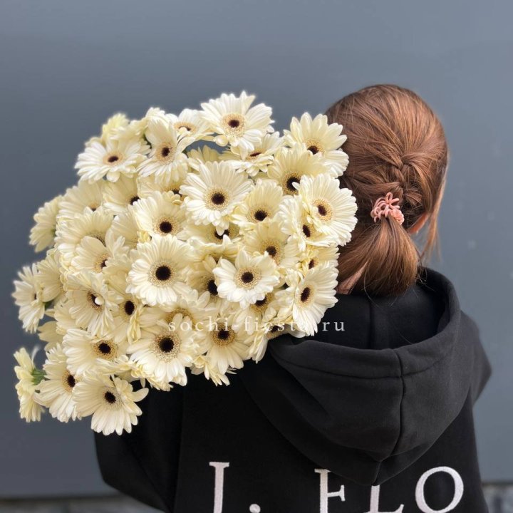 51 гербера в Владимире