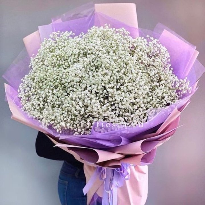 Облако белых гипсофил в Владимире