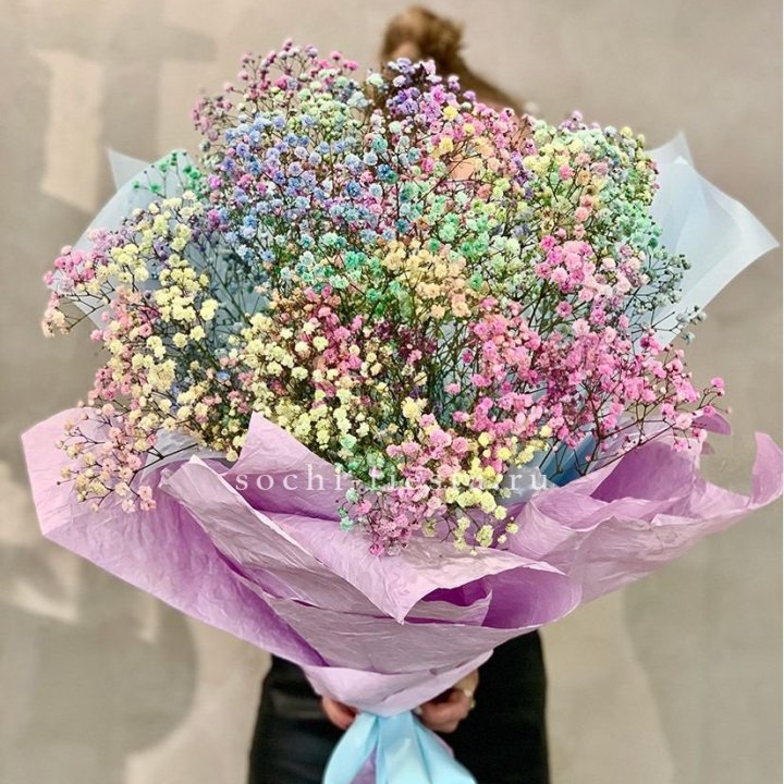 Радужные гипсофилы №2 в Владимире