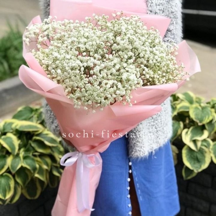 Белоснежные гипсофилы в Владимире