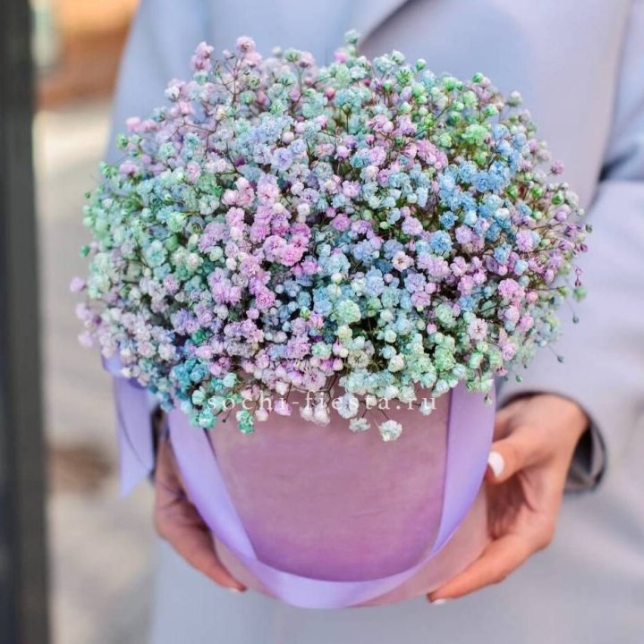 Гипсофилы в шляпной коробке "Кандилайт" в Владимире