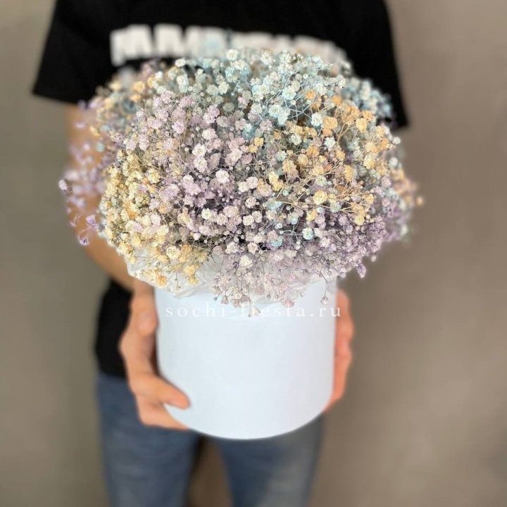 9 Радужных гипсофил в шляпной коробке в Владимире