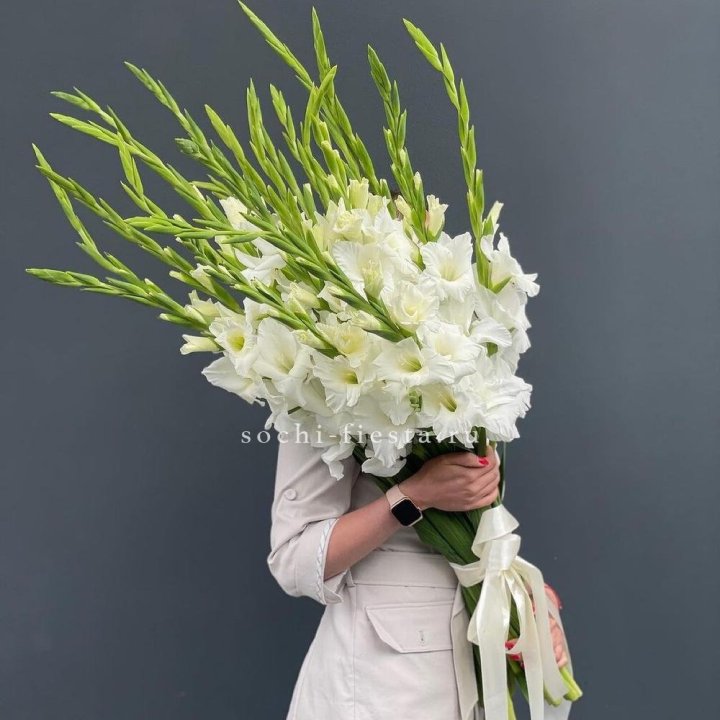 19 белых гладиолусов под ленту в Владимире