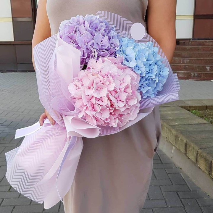 Букет гортензий "Пуф" в Владимире