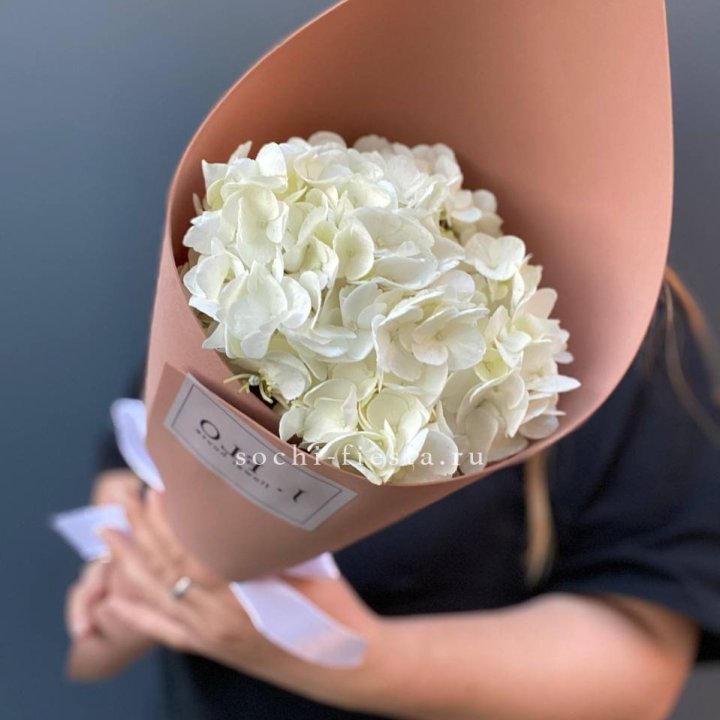 Гортензия в конверте в Владимире
