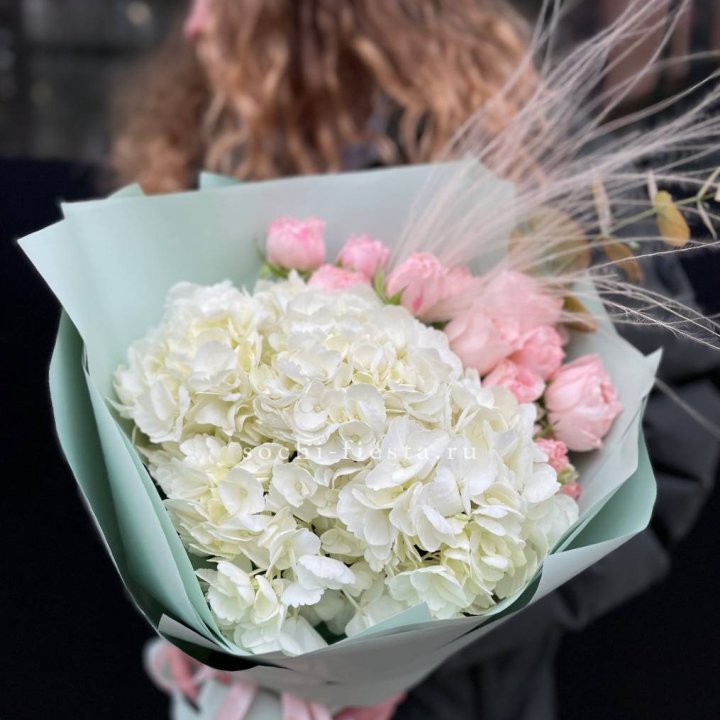 Гортензия "Жасмин" в Владимире