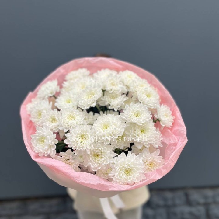  5 хризантем  в Владимире