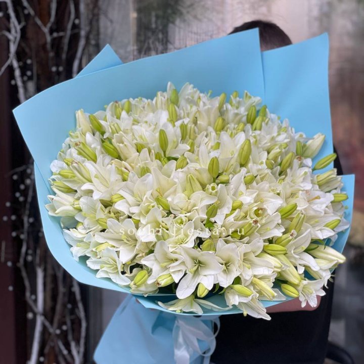 51 лилия в оформлении в Владимире