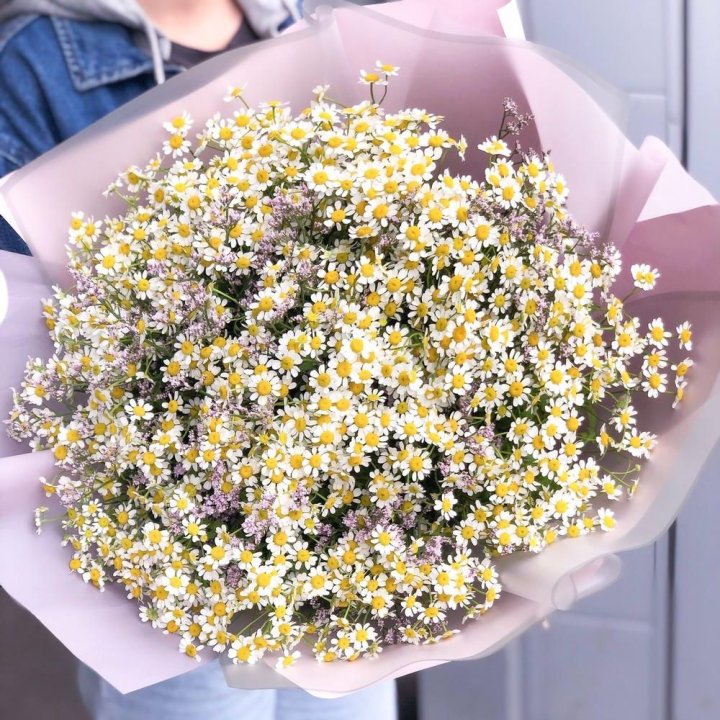 Букет ромашек №1 в Владимире