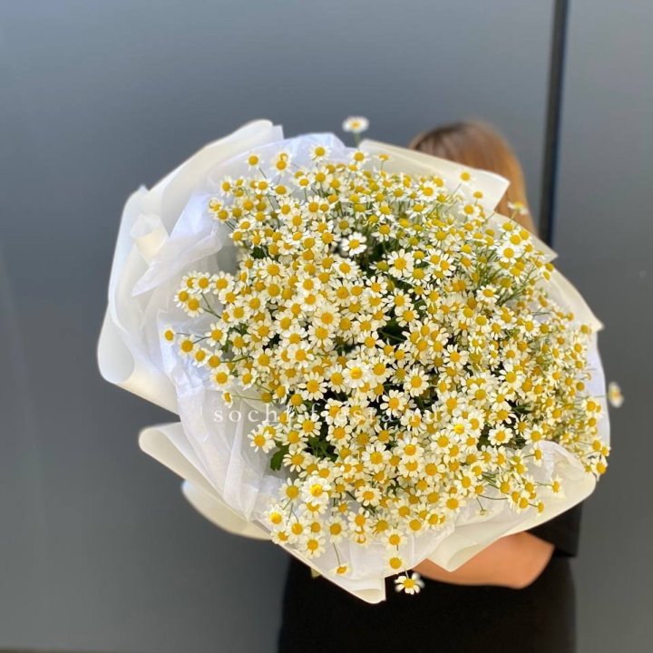 Букет ромашек "Фемели" в Владимире