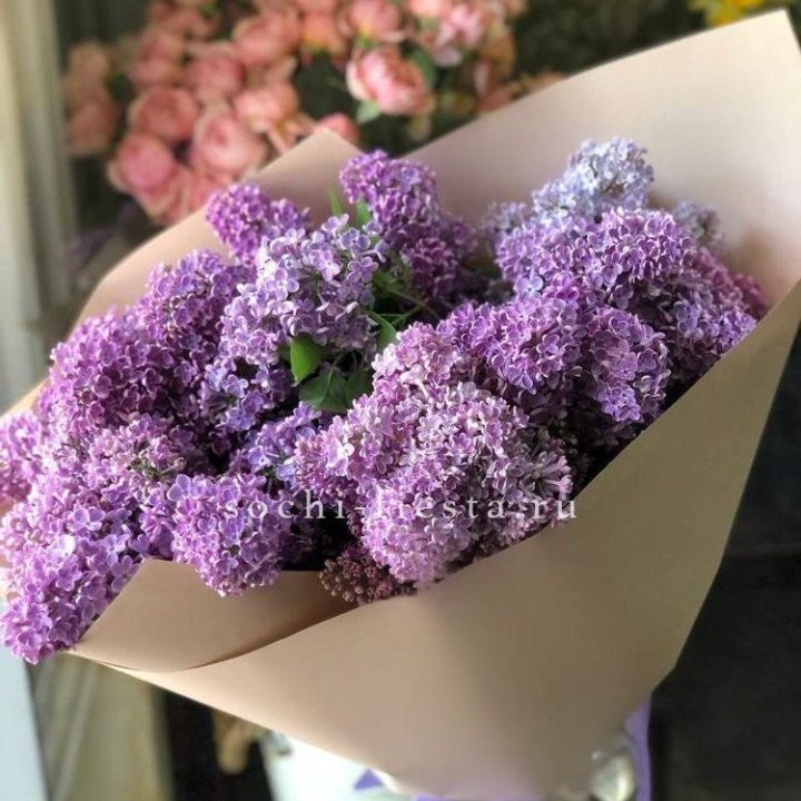 Букет сирени №2 в Владимире