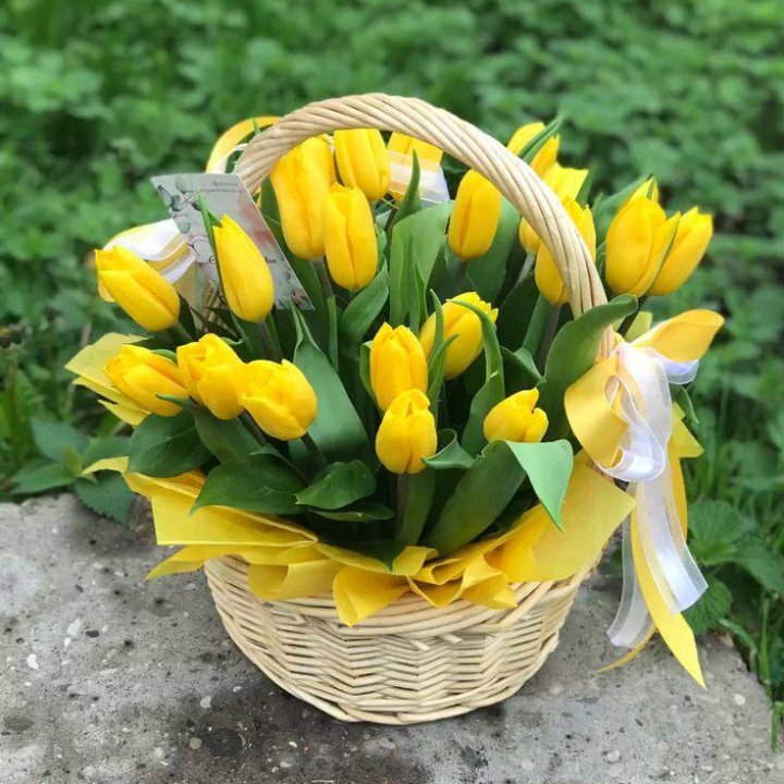 25 желтых тюльпанов в корзине в Владимире