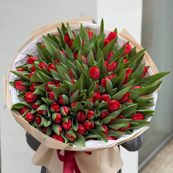 101 красный тюльпан в Владимире