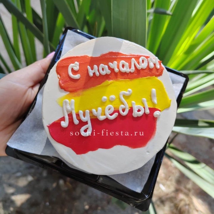 Бенто-торт "С началом учёбы"" в Владимире