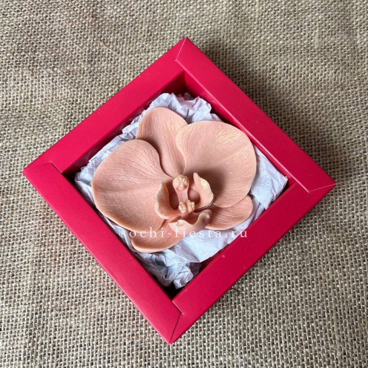 Бельгийский шоколад Орхидея в Владимире