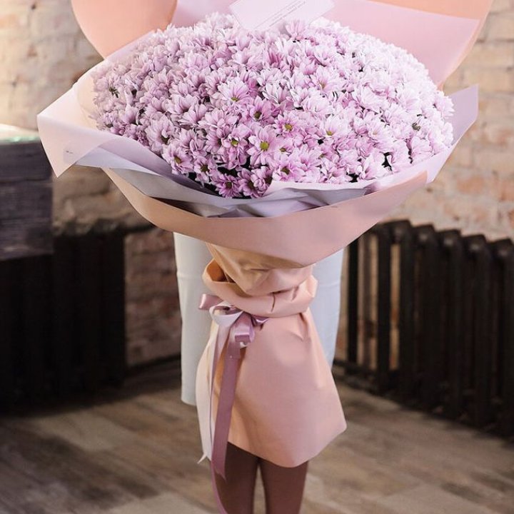 Облако хризантем №1 в Владимире