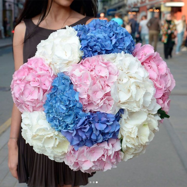 Букет гортензий "Инь-Янь" в Владимире