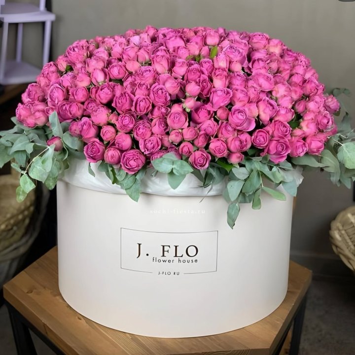 Цилиндр с Мисти Бабблс  в Владимире