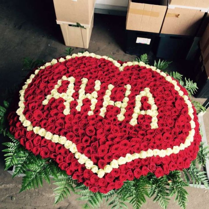 555 роз с именем в Владимире