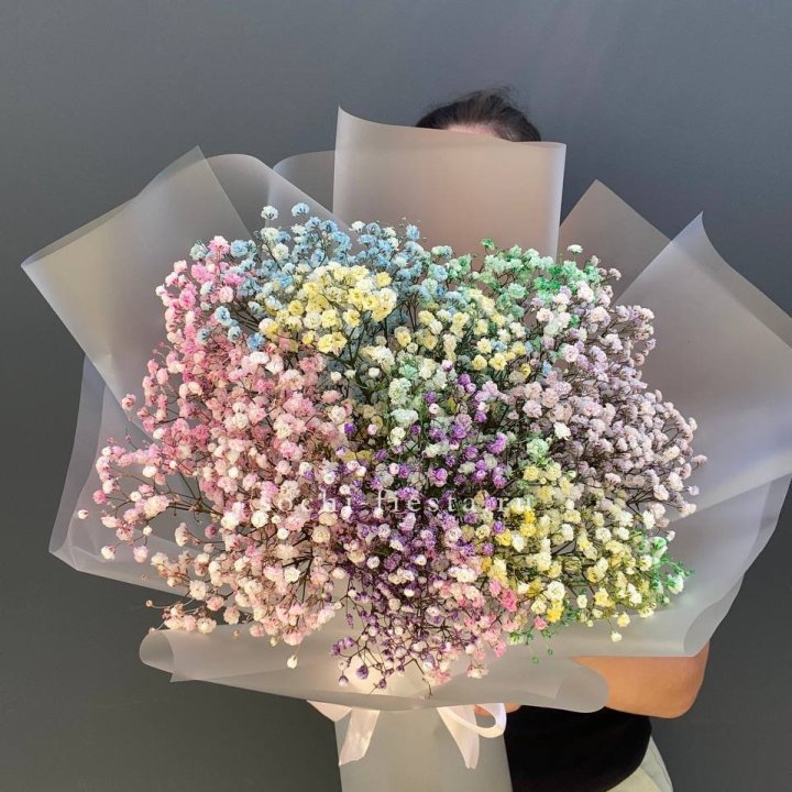 Радужные гипсофилы  в Владимире