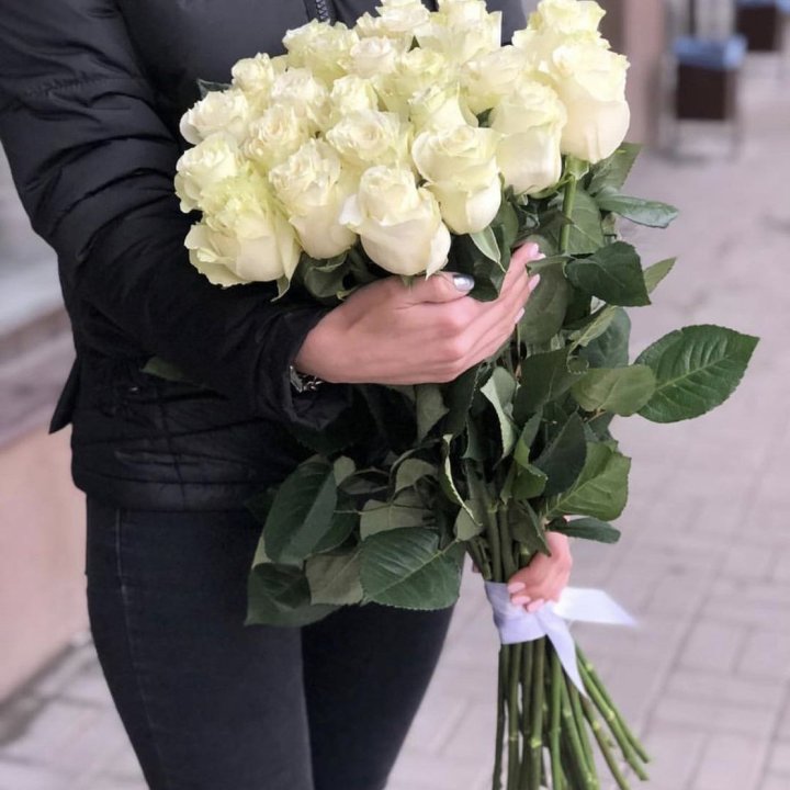 Голландские розы белые в Владимире