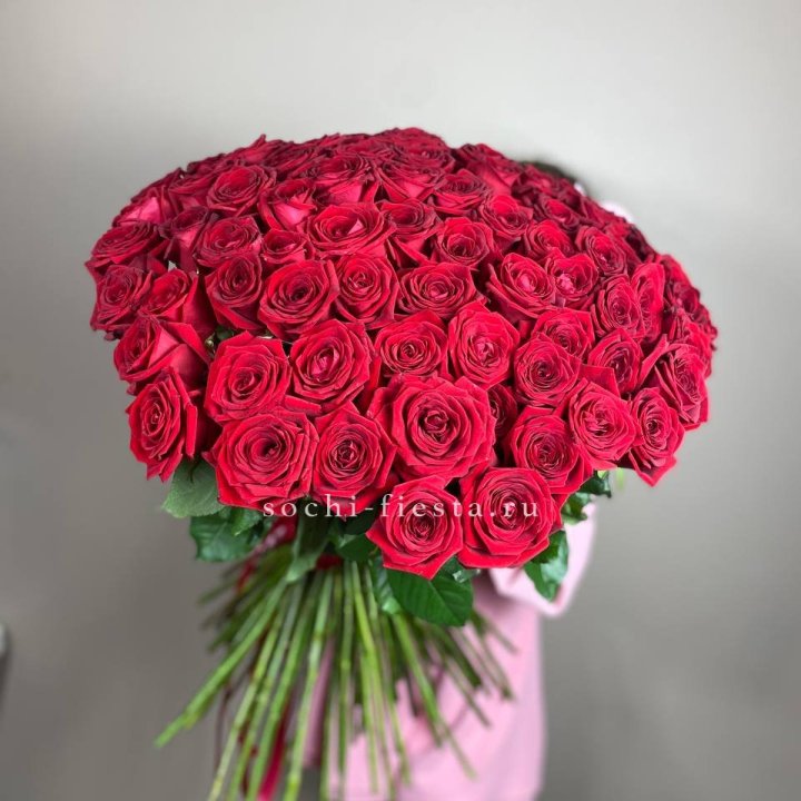 101  голландская роза  в Владимире