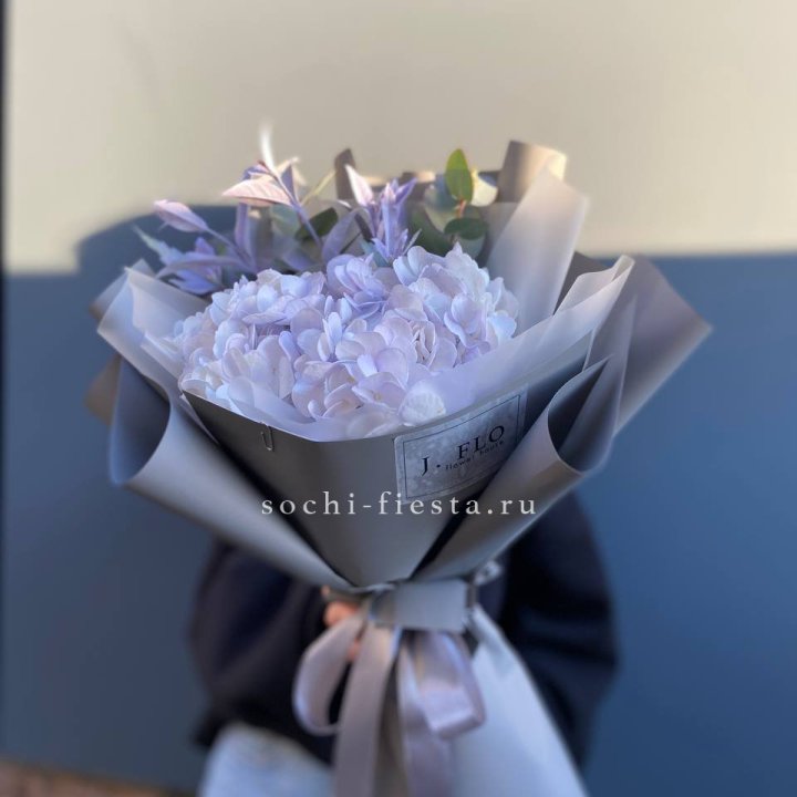 Гортензия "Виолета" в Владимире