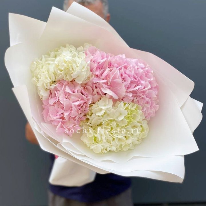 Букет гортензий №5 в Владимире