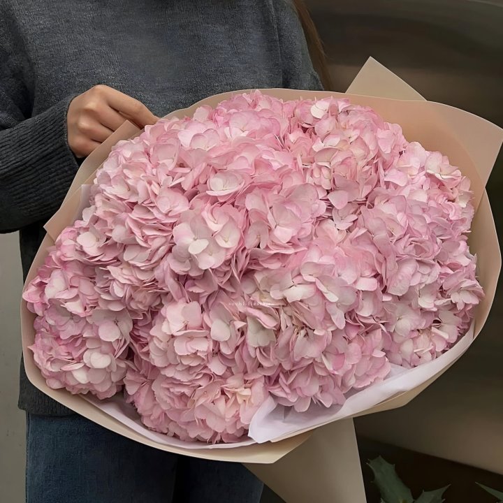 Гортензия  "РОЗЕ" в Владимире