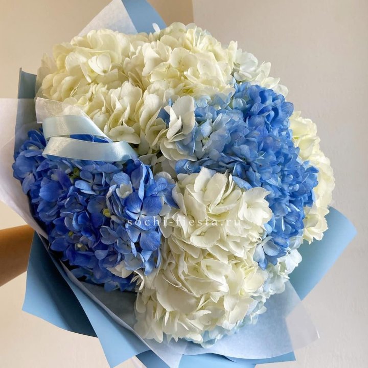 Букет гортензий "Голубая лаза" в Владимире