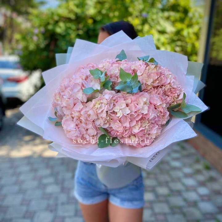5 розовых гортензий  в Владимире