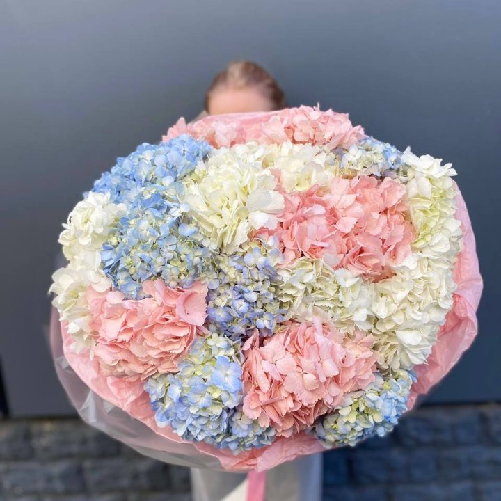 19 гортензий микс в Владимире