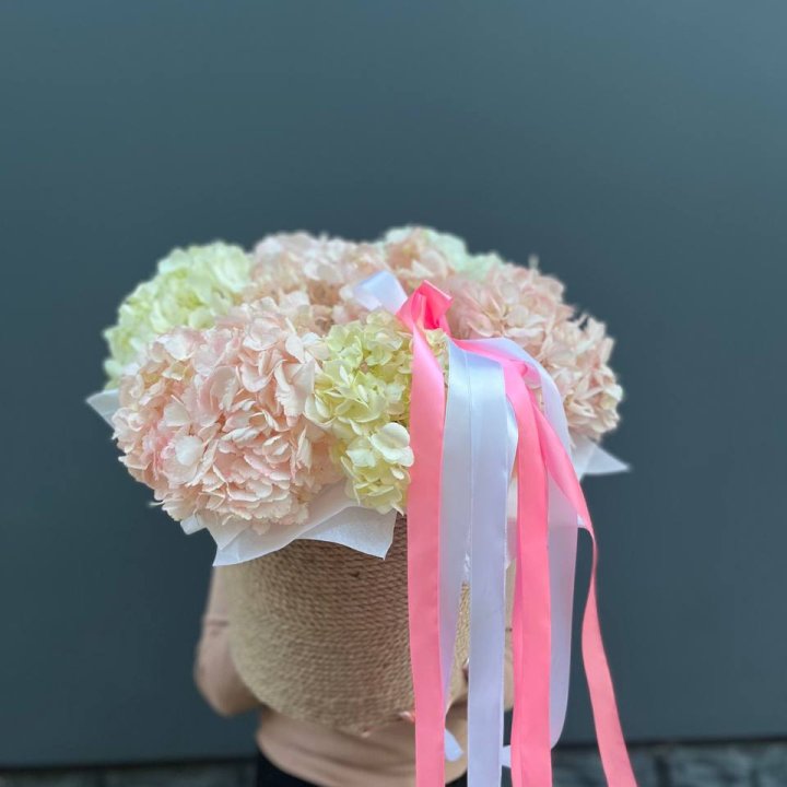 7 гортензий в кашпо в Владимире