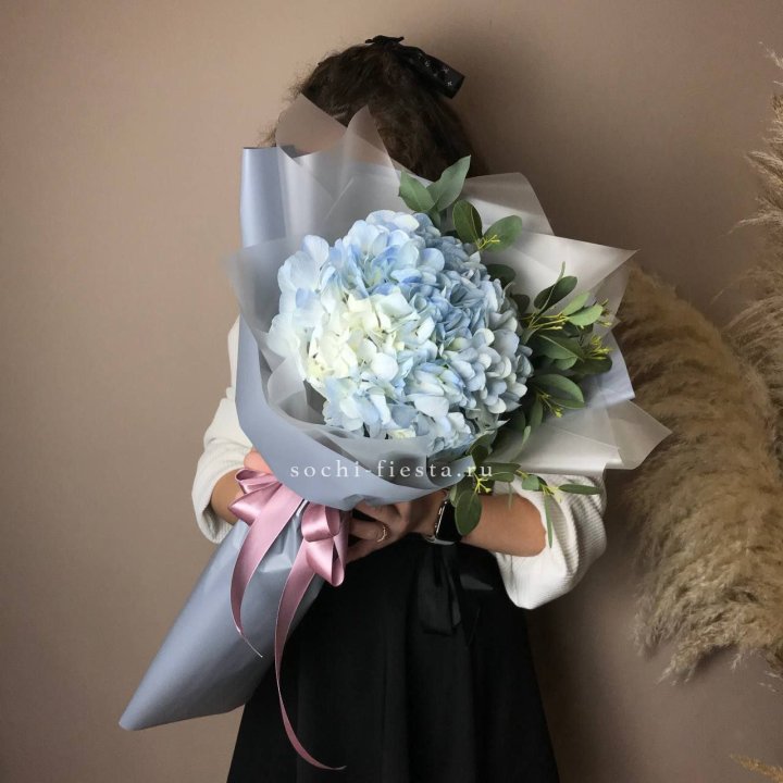 Гортензия Уно в Владимире