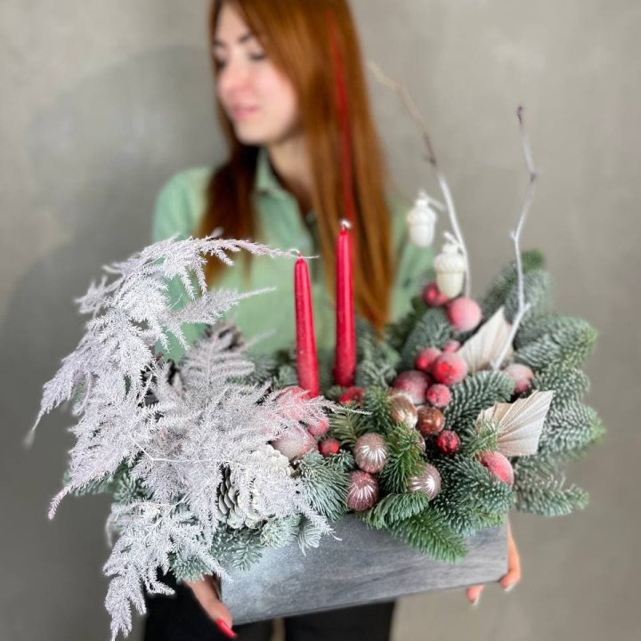 Бокс красный с нобилисом в Владимире