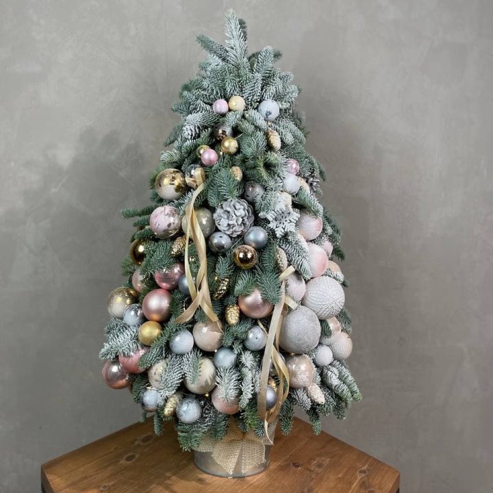 Новогодняя ёлка из веток датского нобилиса в Владимире