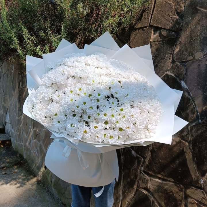 Облако хризантем №2 в Владимире